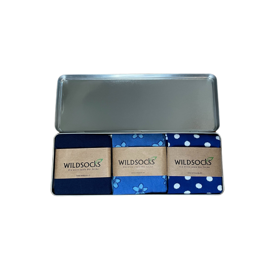 Blue Box