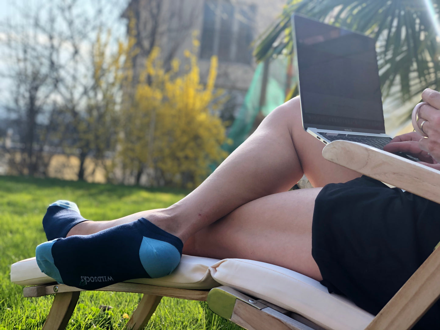 Reason Blue - Sneakersocken aus Bio-Baumwolle von WILDSOCKS