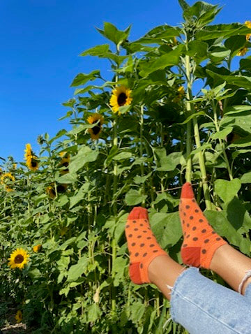 Trusty Points - Sneakersocken aus Bio-Baumwolle von WILDSOCKS