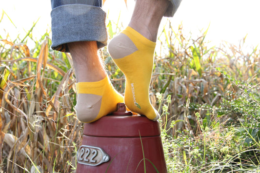 Sunshine - Sneakersocken aus Bio-Baumwolle von WILDSOCKS